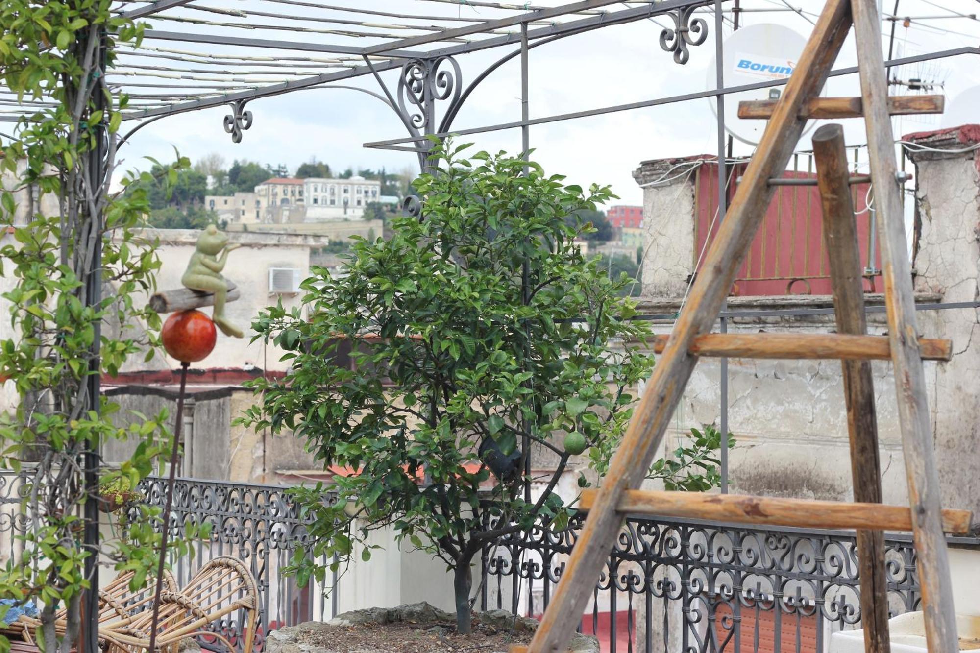 Lemon Tree Terrace Apartment Naples Luaran gambar